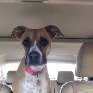 Meet your Posher, Richard